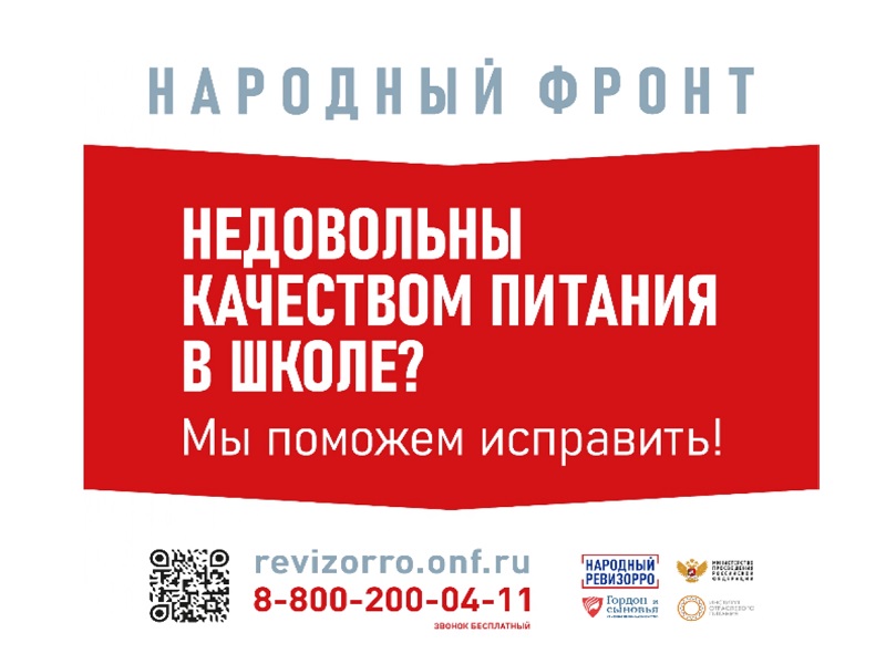 Народный ревизор.
